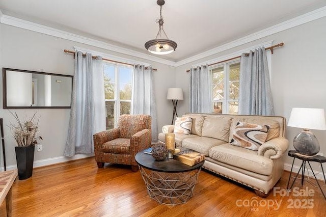 10802 Tradition View Dr, Charlotte, NC 28269 - living area with baseboards, wood finished floors, and ornamental molding