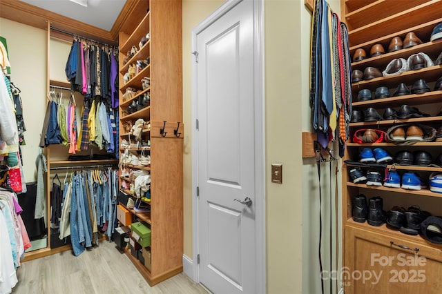 spacious closet featuring light wood-style floors
