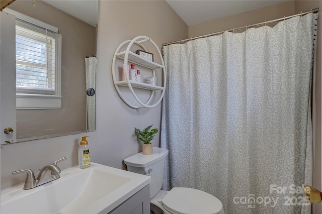bathroom with toilet and vanity
