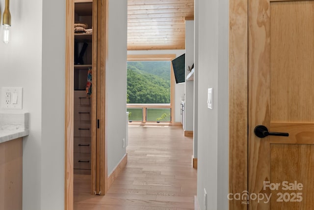 192 Lakeview Trl, Bryson City, NC 28713 - corridor with light wood-style flooring and baseboards