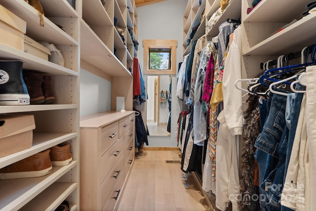 192 Lakeview Trl, Bryson City, NC 28713 - walk in closet featuring light wood-type flooring