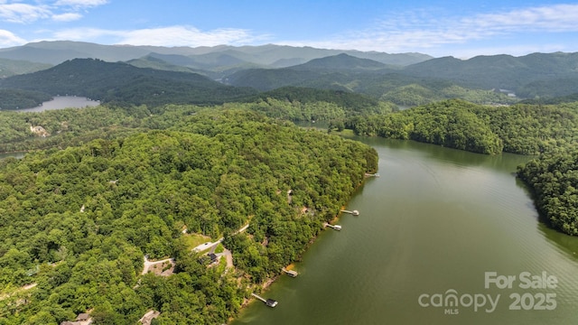 192 Lakeview Trl, Bryson City, NC 28713 - aerial view of a heavily wooded area and a water and mountain view