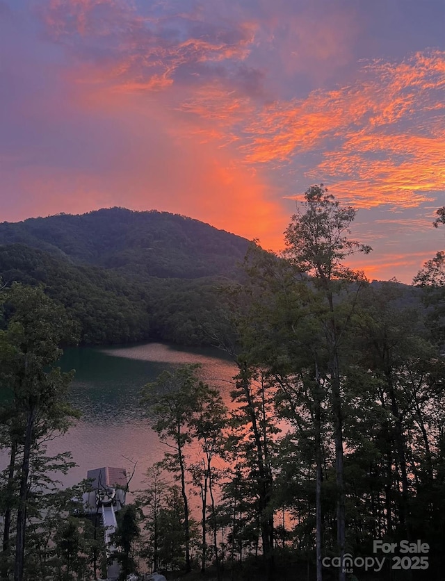 192 Lakeview Trl, Bryson City, NC 28713 - photo 47