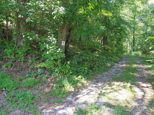 0000 Thomasville Ln, Gerton, NC 28735 - photo 2