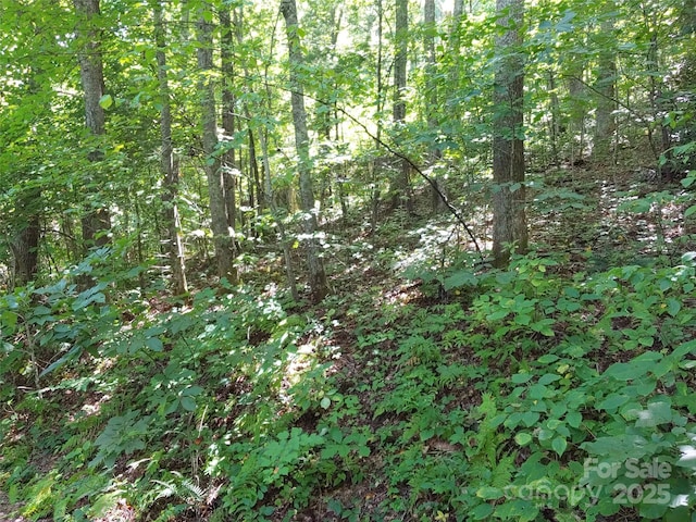 0000 Thomasville Ln, Gerton, NC 28735 - photo 3