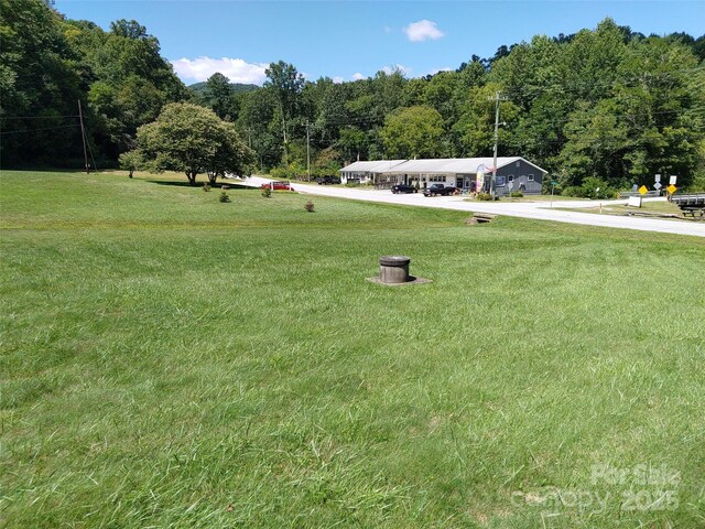 0000 Thomasville Ln, Gerton, NC 28735 - photo 9