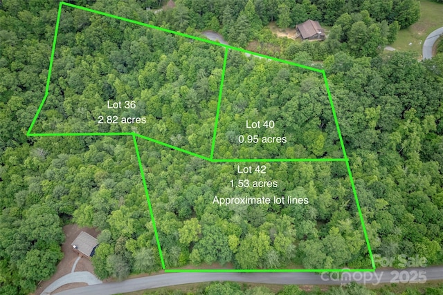 315 Silverglen Way, Hendersonville, NC 28792 - photo 1