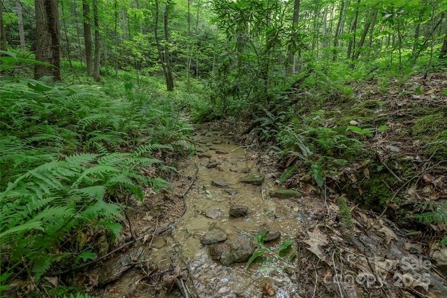 315 Silverglen Way, Hendersonville, NC 28792 - photo 4