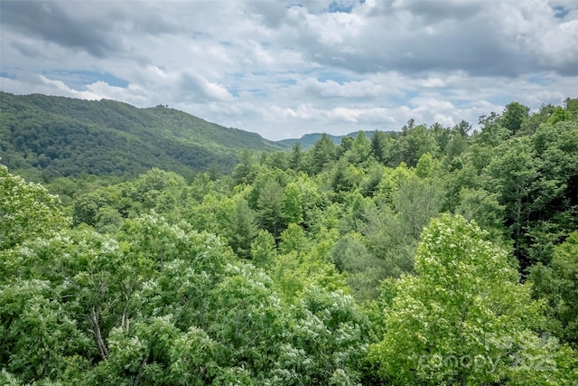 315 Silverglen Way, Hendersonville, NC 28792 - photo 6