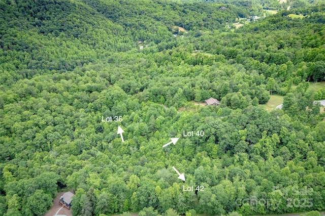 315 Silverglen Way, Hendersonville, NC 28792 - photo 10