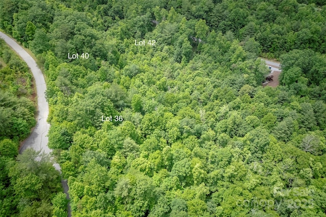 315 Silverglen Way, Hendersonville, NC 28792 - photo 11
