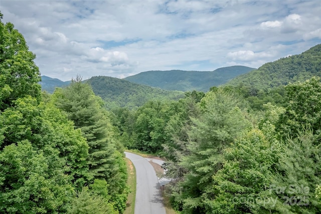 315 Silverglen Way, Hendersonville, NC 28792 - photo 12