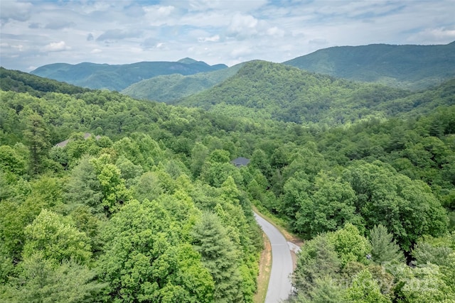 315 Silverglen Way, Hendersonville, NC 28792 - photo 13