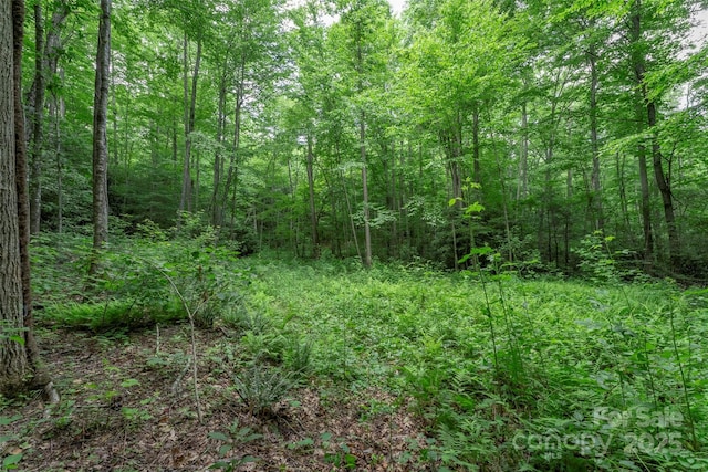 315 Silverglen Way, Hendersonville, NC 28792 - photo 14