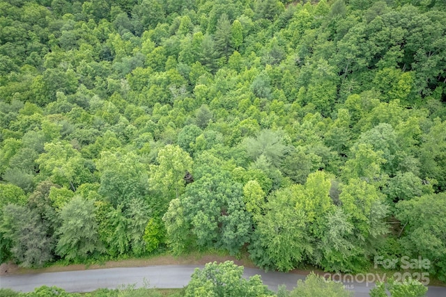 315 Silverglen Way, Hendersonville, NC 28792 - photo 16