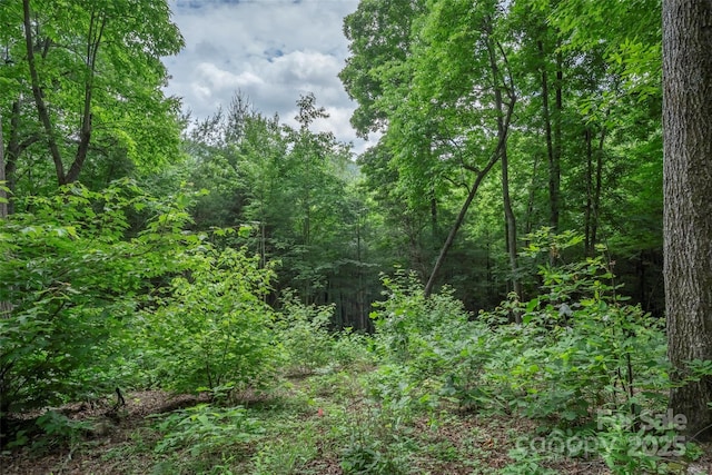 315 Silverglen Way, Hendersonville, NC 28792 - photo 17