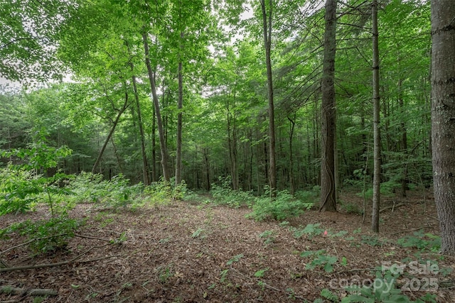 315 Silverglen Way, Hendersonville, NC 28792 - photo 18