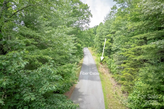315 Silverglen Way, Hendersonville, NC 28792 - photo 20
