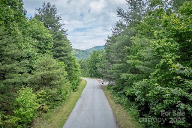 315 Silverglen Way, Hendersonville, NC 28792 - photo 21