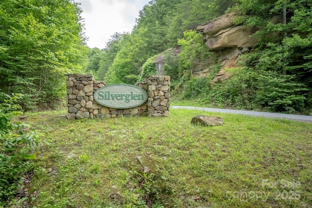 315 Silverglen Way, Hendersonville, NC 28792 - photo 22
