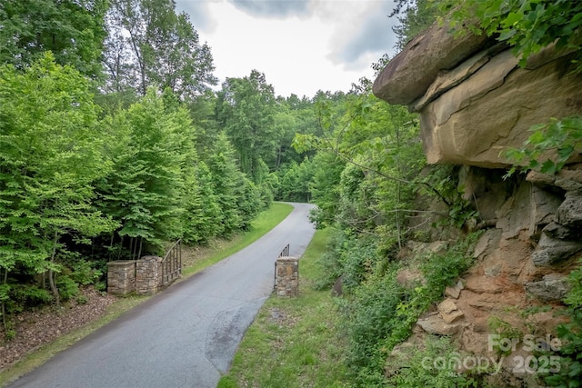 315 Silverglen Way, Hendersonville, NC 28792 - photo 23