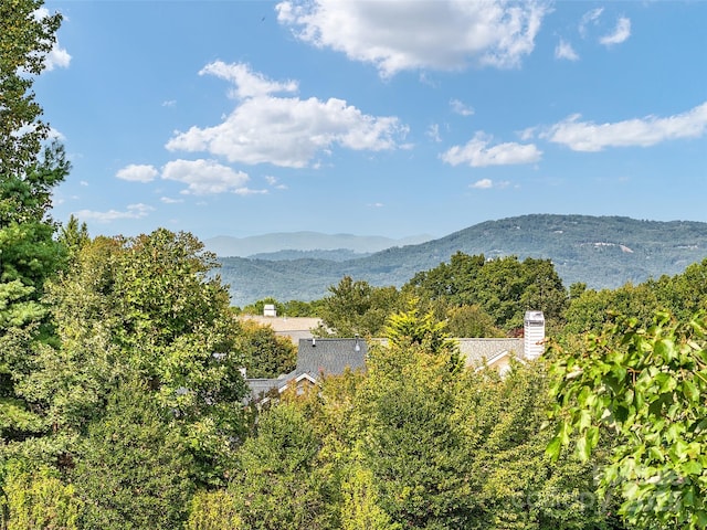 105 Valley Hill Dr, Hendersonville, NC 28791 - photo 2