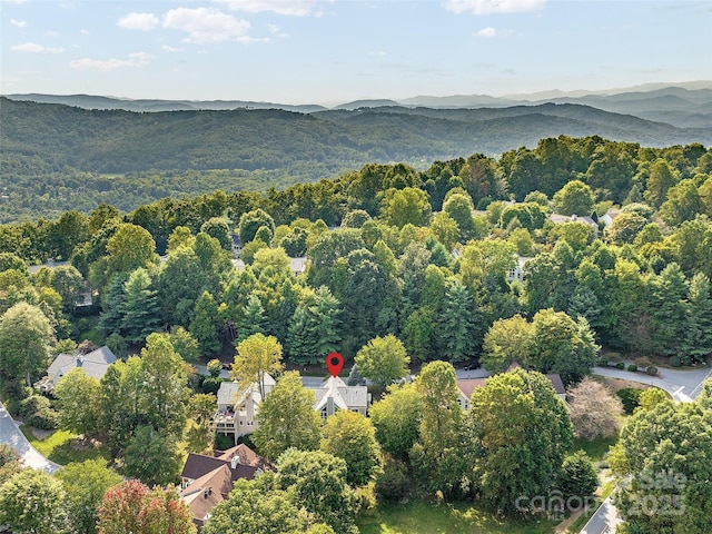 105 Valley Hill Dr, Hendersonville, NC 28791 - photo 35