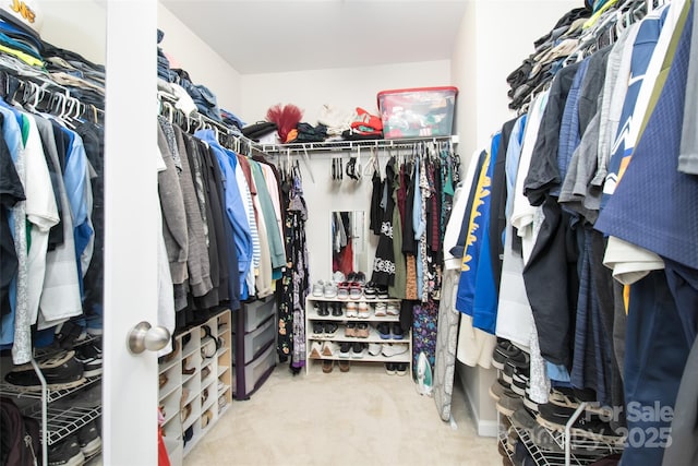 128 Millen Dr, Mooresville, NC 28115 - spacious closet with carpet floors