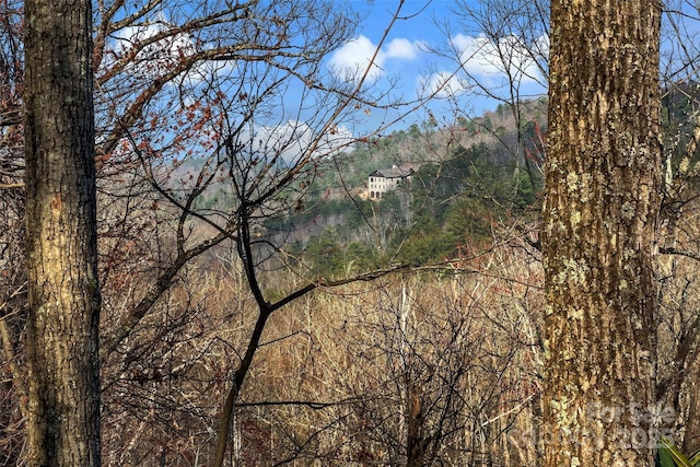 Lot224 Cumberland Falls Trail 224, Black Mountain, NC 28711 - photo 1
