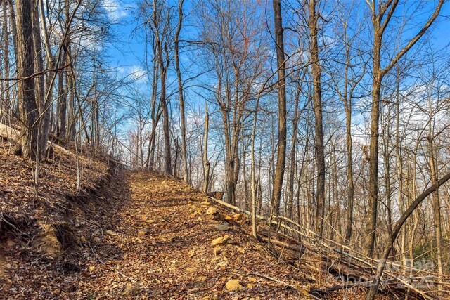 Lot224 Cumberland Falls Trail 224, Black Mountain, NC 28711 - photo 4