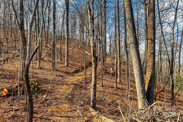 Lot224 Cumberland Falls Trail 224, Black Mountain, NC 28711 - photo 5