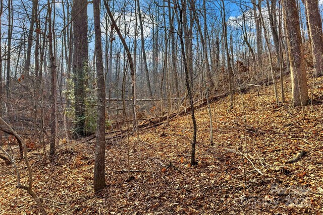 Lot224 Cumberland Falls Trail 224, Black Mountain, NC 28711 - photo 6