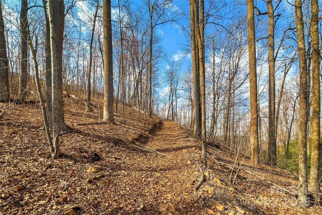Lot224 Cumberland Falls Trail 224, Black Mountain, NC 28711 - photo 7
