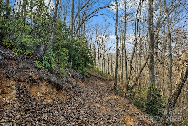 Lot224 Cumberland Falls Trail 224, Black Mountain, NC 28711 - photo 10