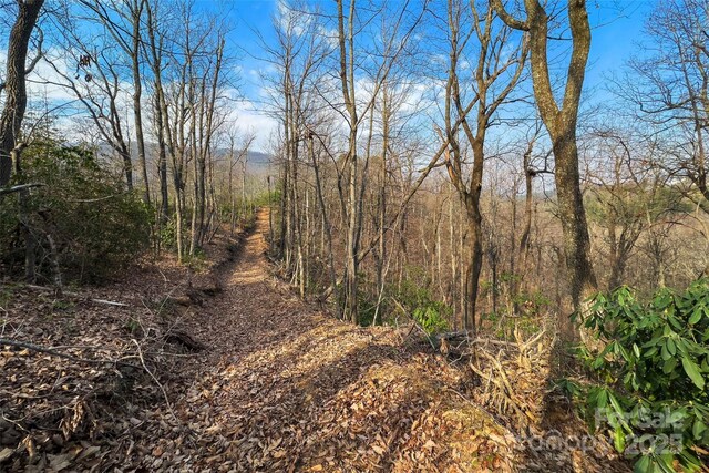 Lot224 Cumberland Falls Trail 224, Black Mountain, NC 28711 - photo 12