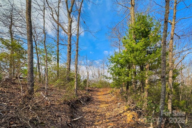 Lot224 Cumberland Falls Trail 224, Black Mountain, NC 28711 - photo 14