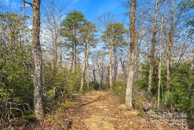 Lot224 Cumberland Falls Trail 224, Black Mountain, NC 28711 - photo 15