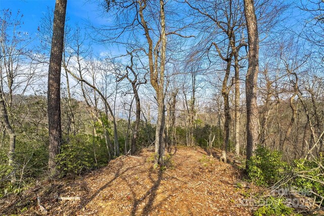 Lot224 Cumberland Falls Trail 224, Black Mountain, NC 28711 - photo 16