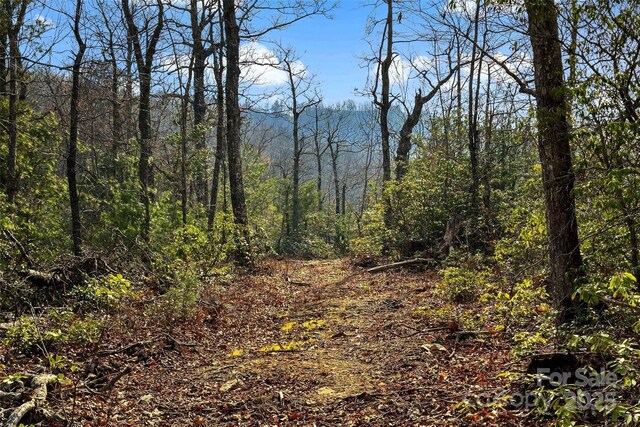 Lot224 Cumberland Falls Trail 224, Black Mountain, NC 28711 - photo 17