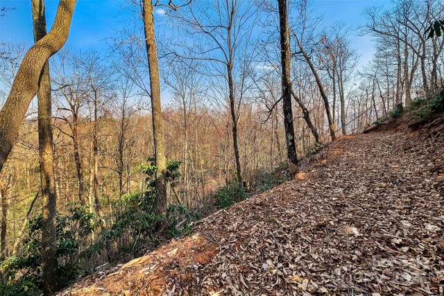 Lot224 Cumberland Falls Trail 224, Black Mountain, NC 28711 - photo 18