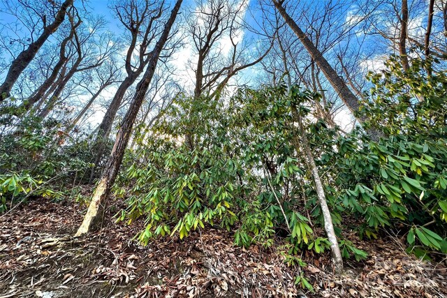 Lot224 Cumberland Falls Trail 224, Black Mountain, NC 28711 - photo 19