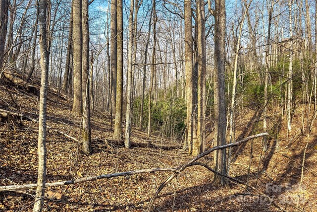 Lot224 Cumberland Falls Trail 224, Black Mountain, NC 28711 - photo 20