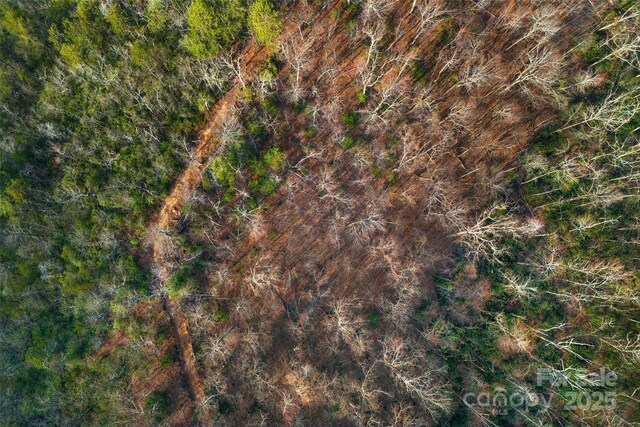 Lot224 Cumberland Falls Trail 224, Black Mountain, NC 28711 - photo 22