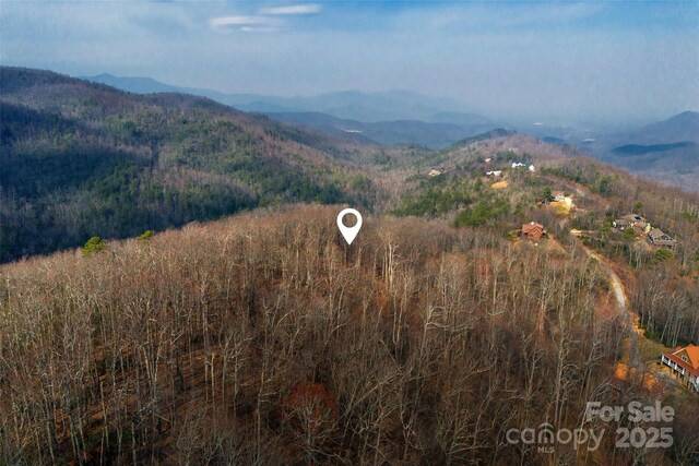 Lot224 Cumberland Falls Trail 224, Black Mountain, NC 28711 - photo 23