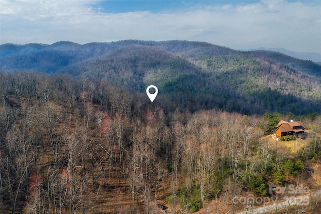Lot224 Cumberland Falls Trail 224, Black Mountain, NC 28711 - photo 24