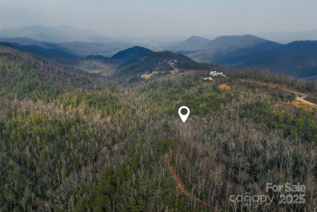Lot224 Cumberland Falls Trail 224, Black Mountain, NC 28711 - photo 25