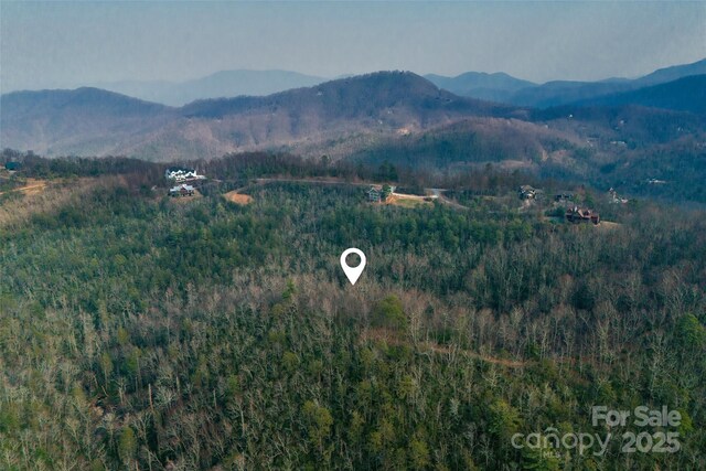 Lot224 Cumberland Falls Trail 224, Black Mountain, NC 28711 - photo 26