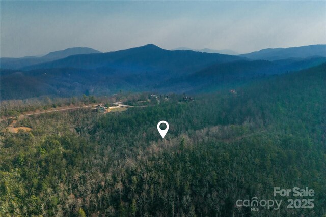 Lot224 Cumberland Falls Trail 224, Black Mountain, NC 28711 - photo 27