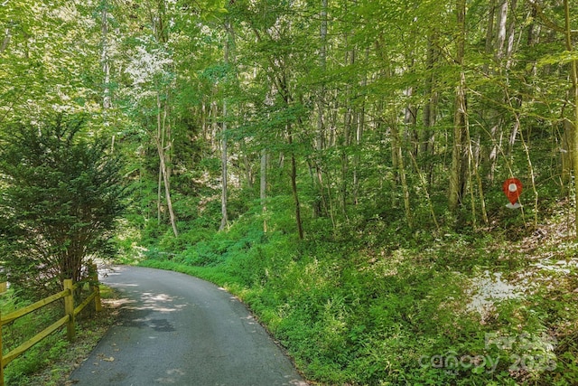 9999 Indian Falls Rd, Asheville, NC 28803 - photo 2