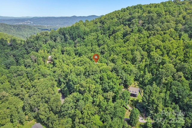 9999 Indian Falls Rd, Asheville, NC 28803 - photo 5